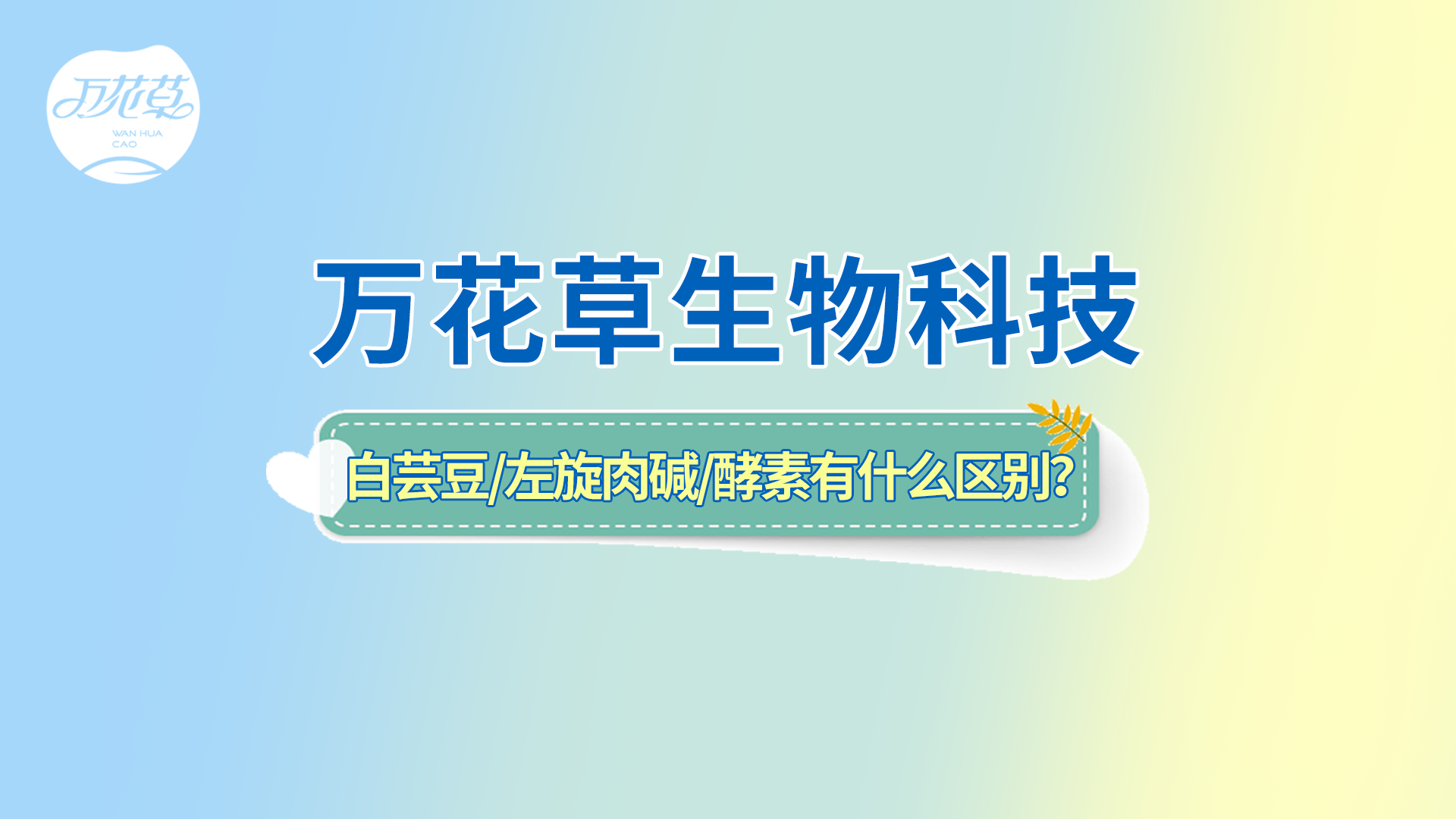 白蕓豆、左旋肉堿、嗨吃酵素有什么區(qū)別？